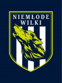 Logo zespołu