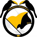 Logo zespołu